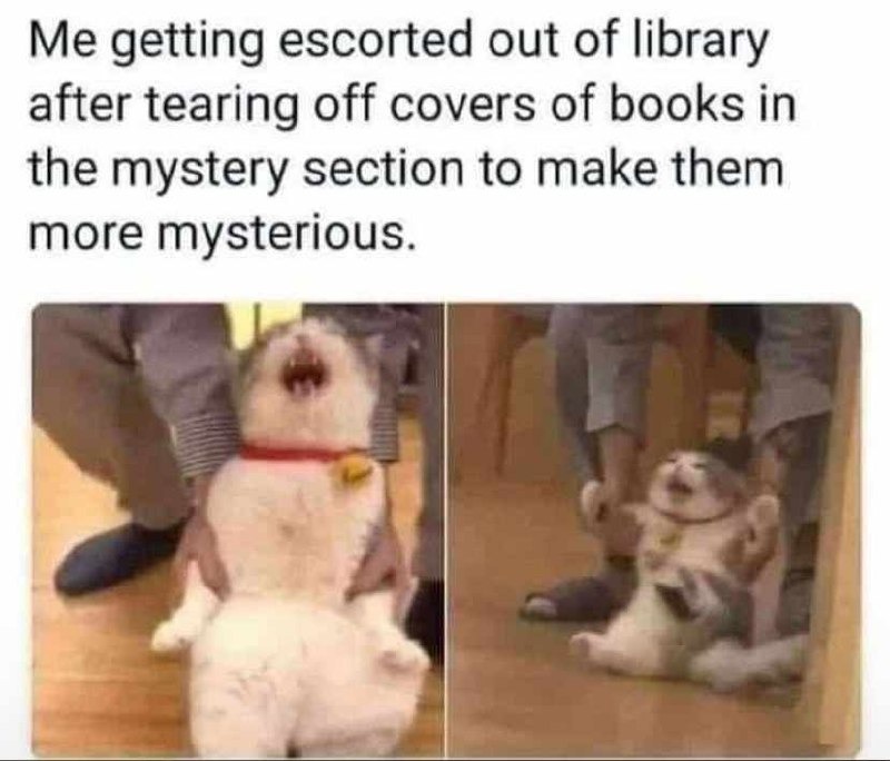 Me making books extra mysterious - meme