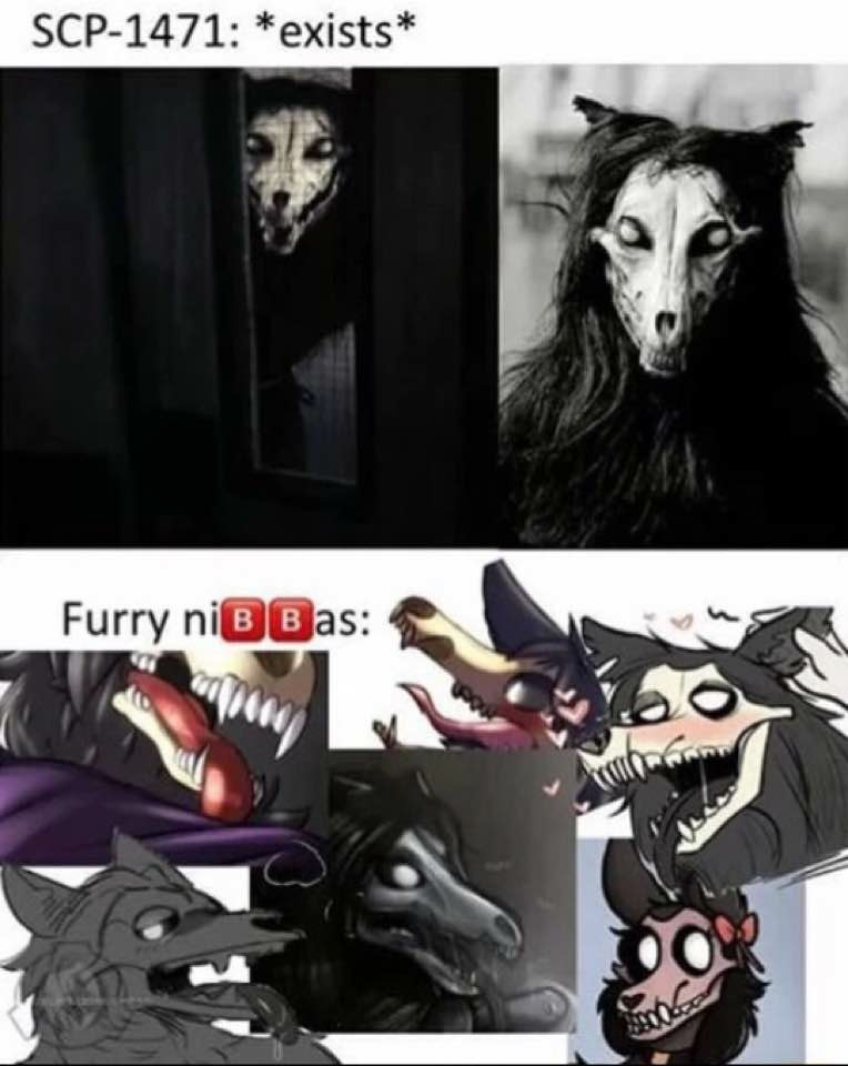 Furry ni - meme