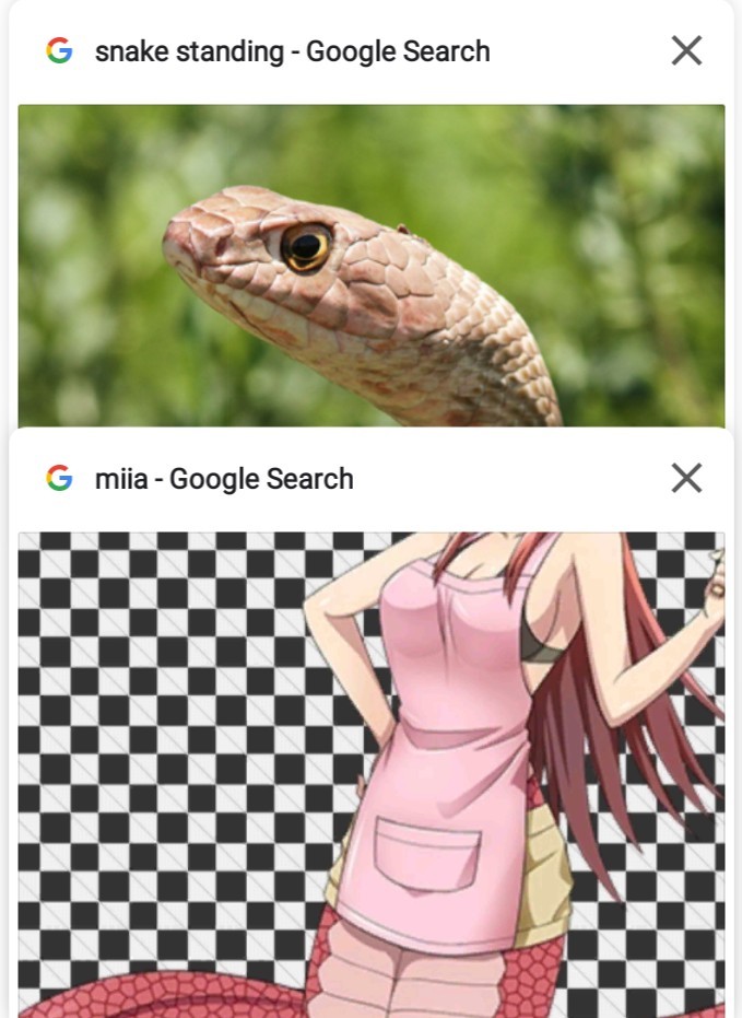 Snaketeets - meme
