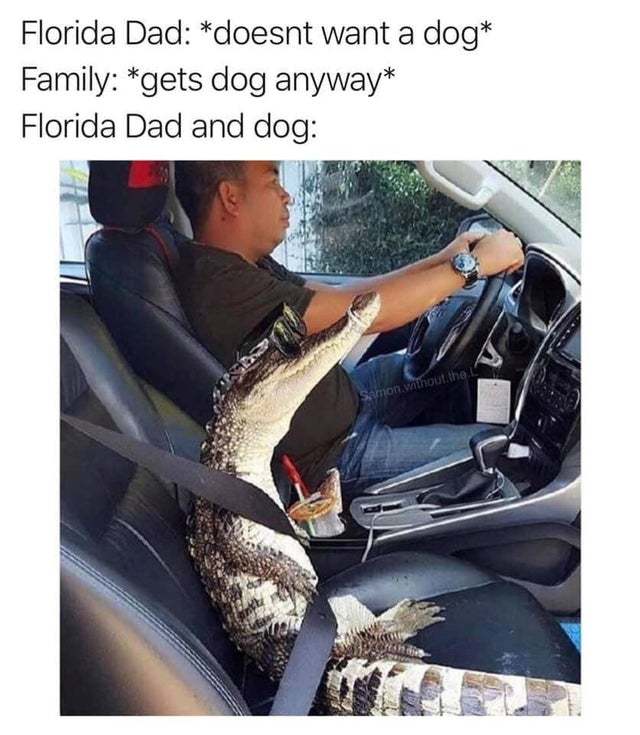 Florida dad doesn't want a dog - meme