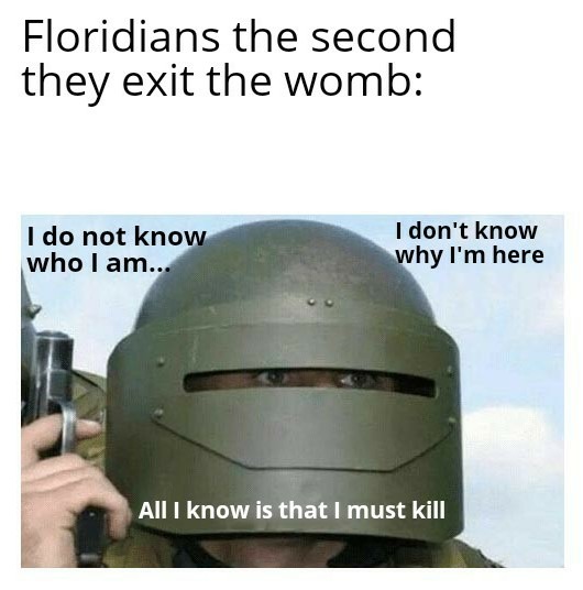 Florida in a nutshell - meme