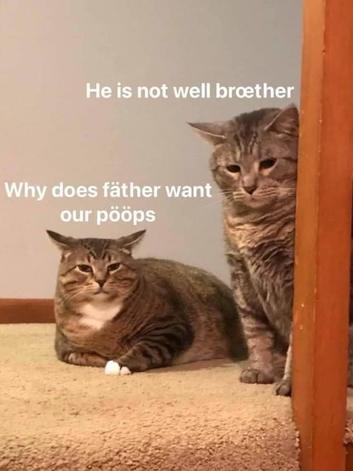 Ever wondered what they think? - meme