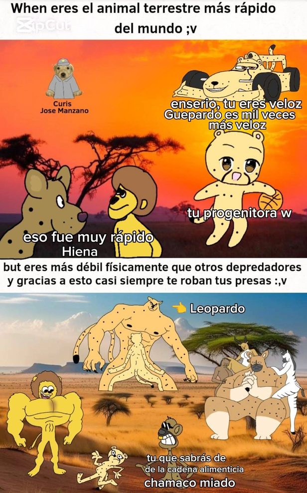 Pobres guepardos - meme