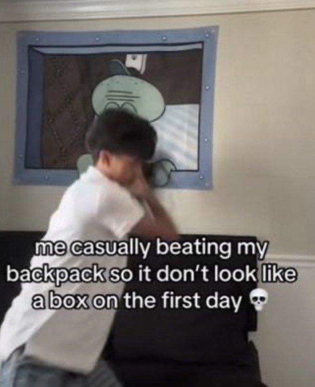 Dont look at the text - meme