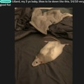 commented item thumbnail