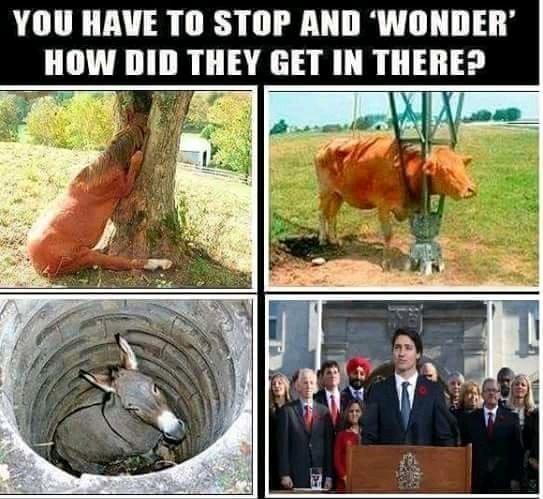 Poor Canada... - meme