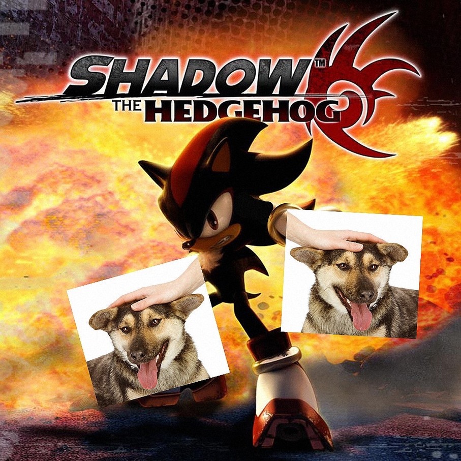 Shadow the dog tamer - meme.