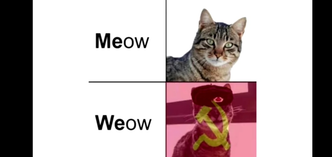 Oh no! Even the cats became communists - meme