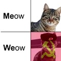 Oh no! Even the cats became communists