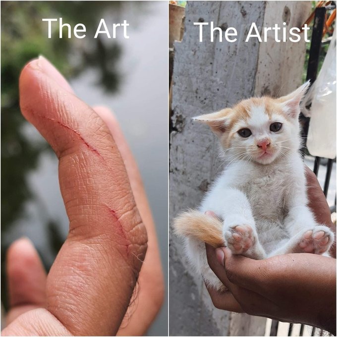 The art, the artist - meme