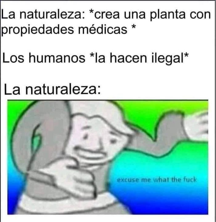 no hay titulo - meme