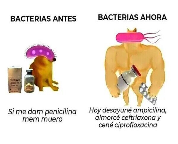 Bacterias chetadas - meme