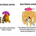 Bacterias chetadas