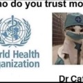 Dr Cat seems legit