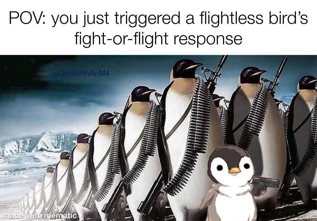 Penguin tariff meme