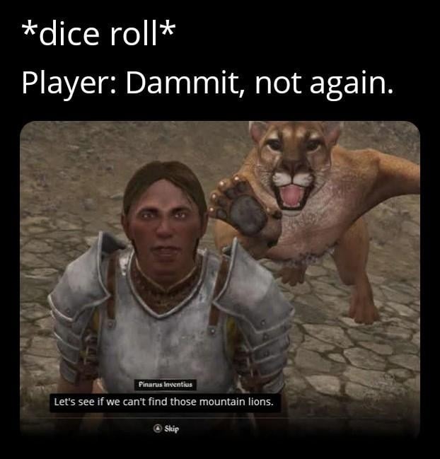 The dice gods are drunk and they hate mountain lions - meme