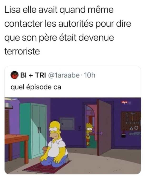 Lisa elle a cru qu'elle était dans Homeland - meme