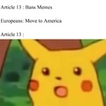 ARTICLE 13