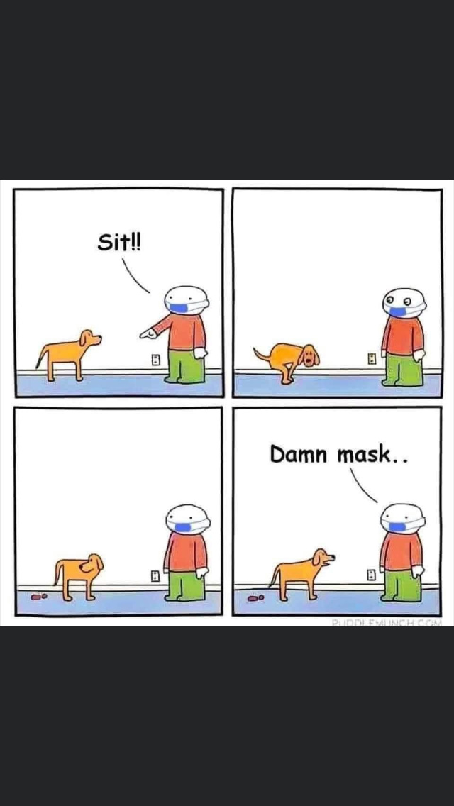 Damn mask - meme