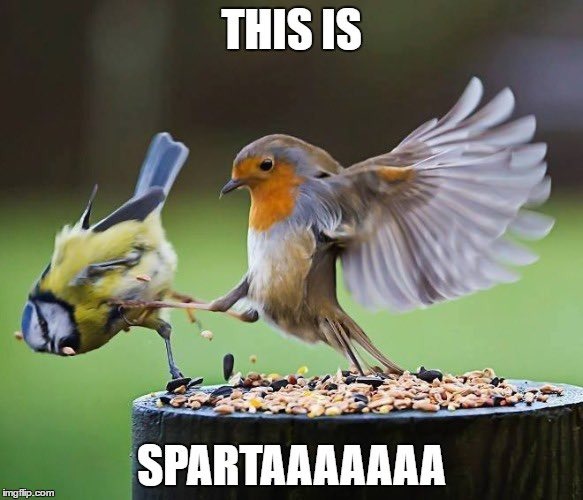 Spartans - meme