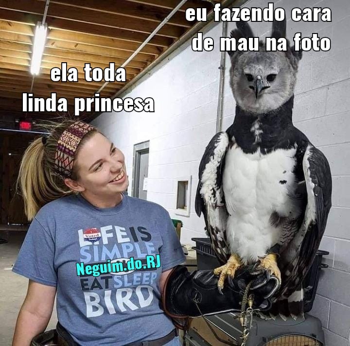 Harpia brasileira - meme