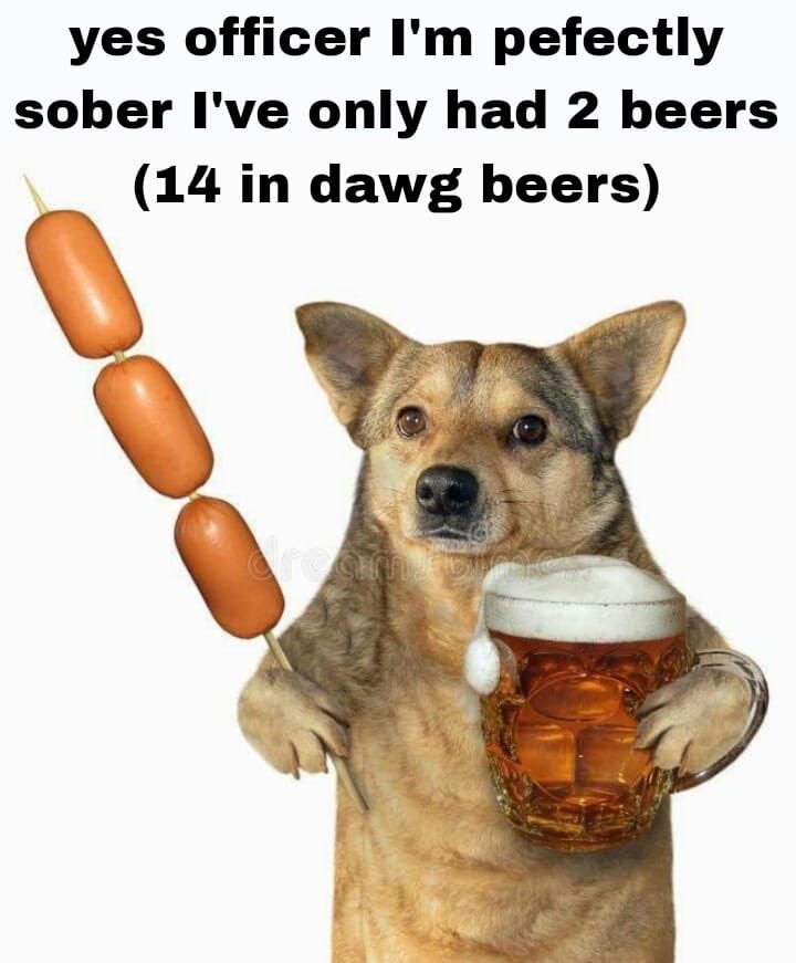 dongs in a beer - meme