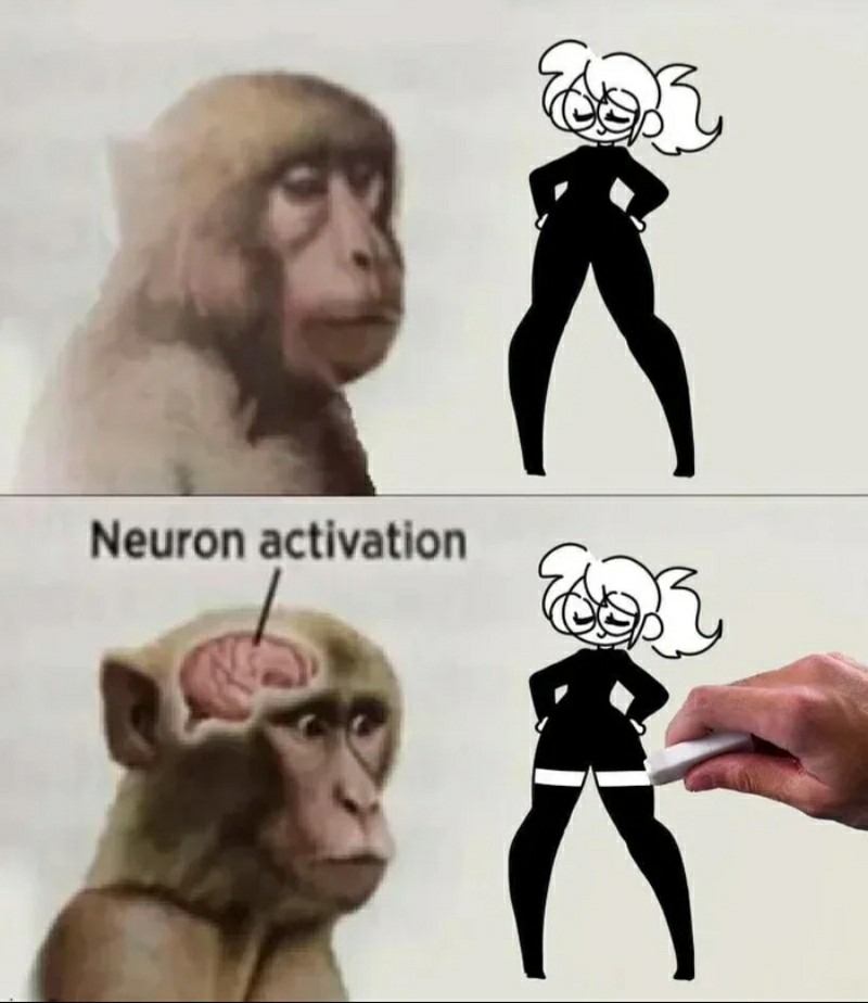Reptilian brain gets no serotonin - meme
