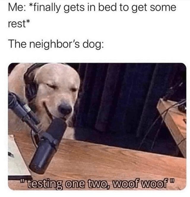 Just got into bed and the neighbor’s dog drops its mixtape - meme