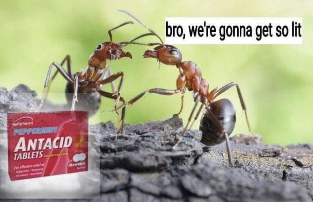 Antacids and chaos incoming bro let’s GOOOO - meme