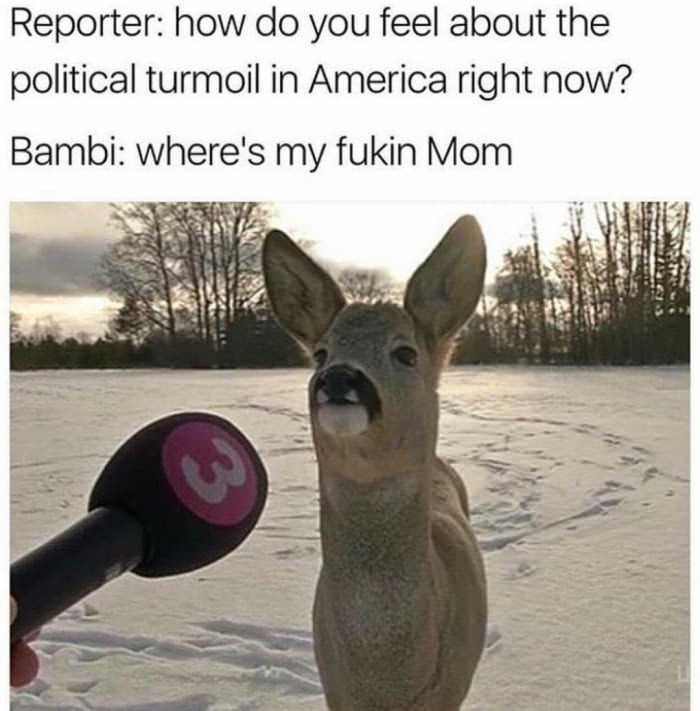 Bambi wants answers now - meme
