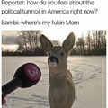Bambi wants answers now