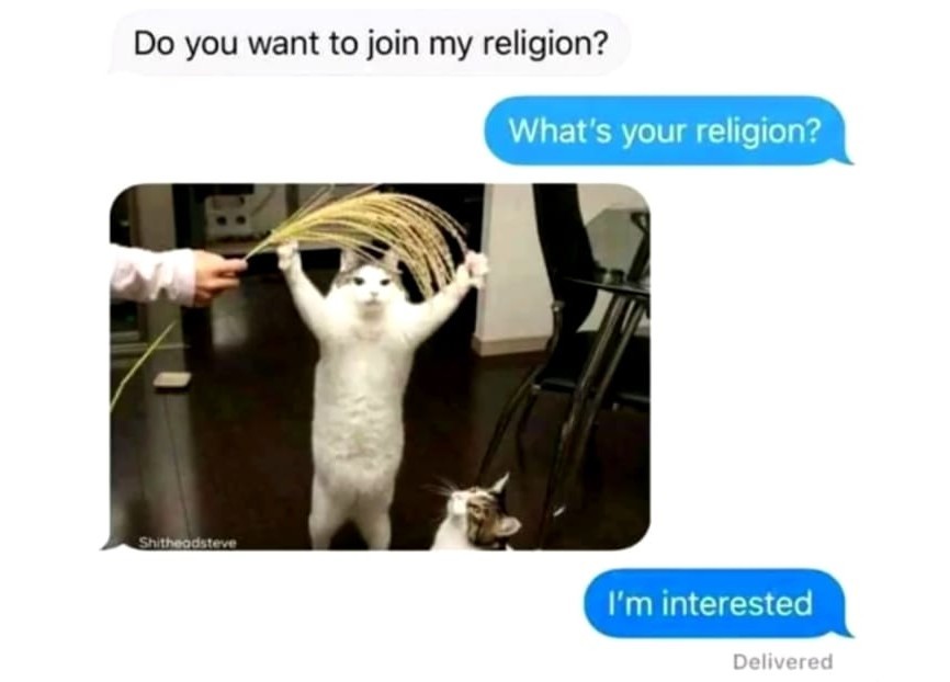 CAT RELIGION - meme