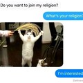CAT RELIGION
