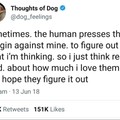 I love Thoughts Of Dog