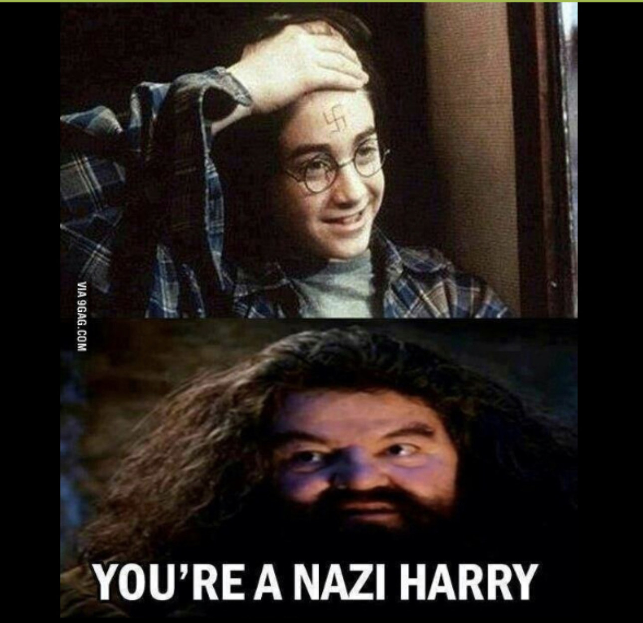 Гарри Поттер наци