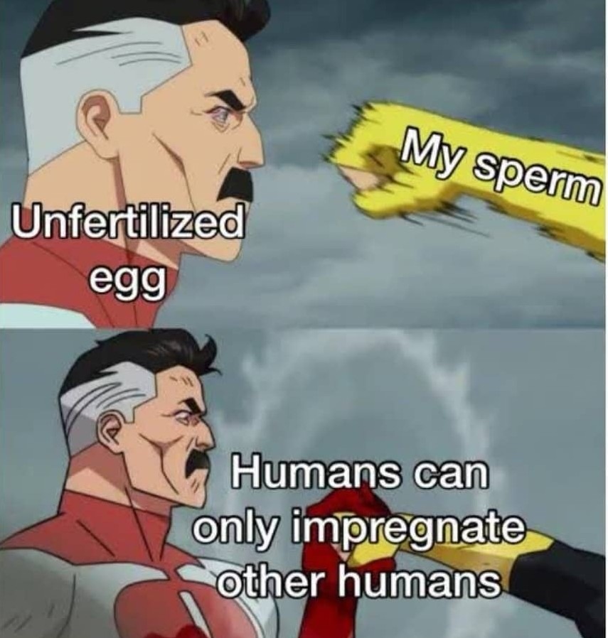 Dongs in an Egg - meme