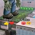 Real Fake