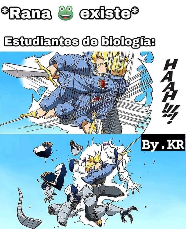 Hoy vamos a abrir a una rana - meme