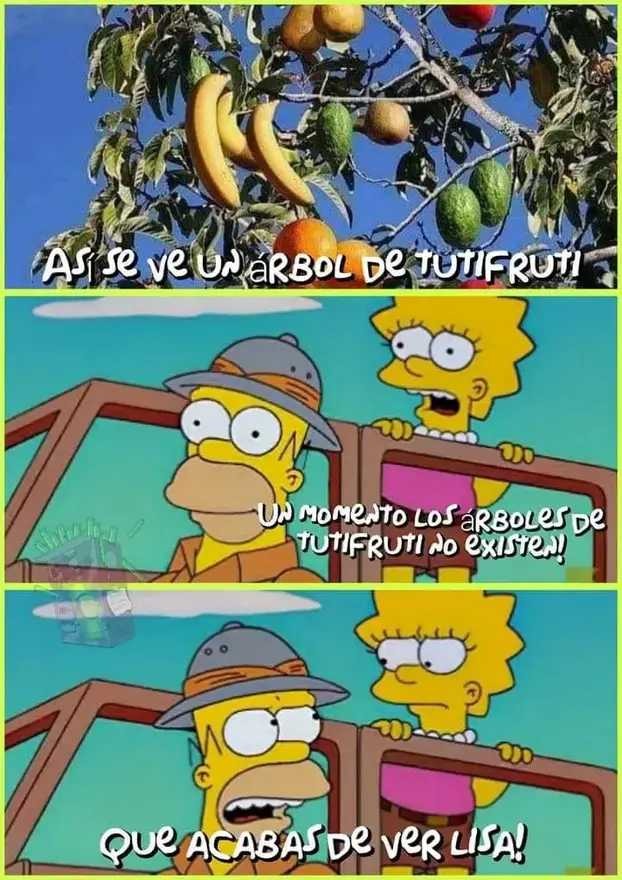 Lisa sin - meme