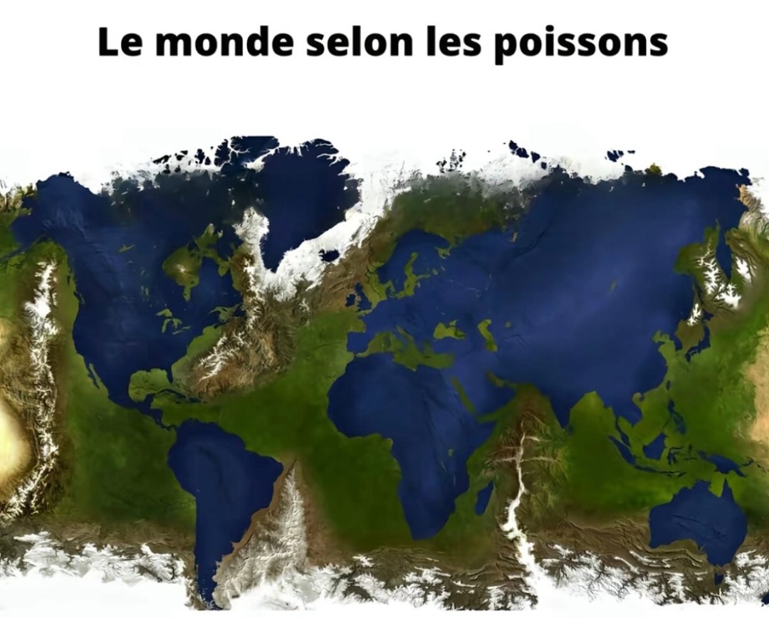 Le monde vu par les poissons - meme