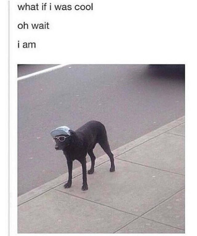 What if I was cool? oh wait, confirmed - meme