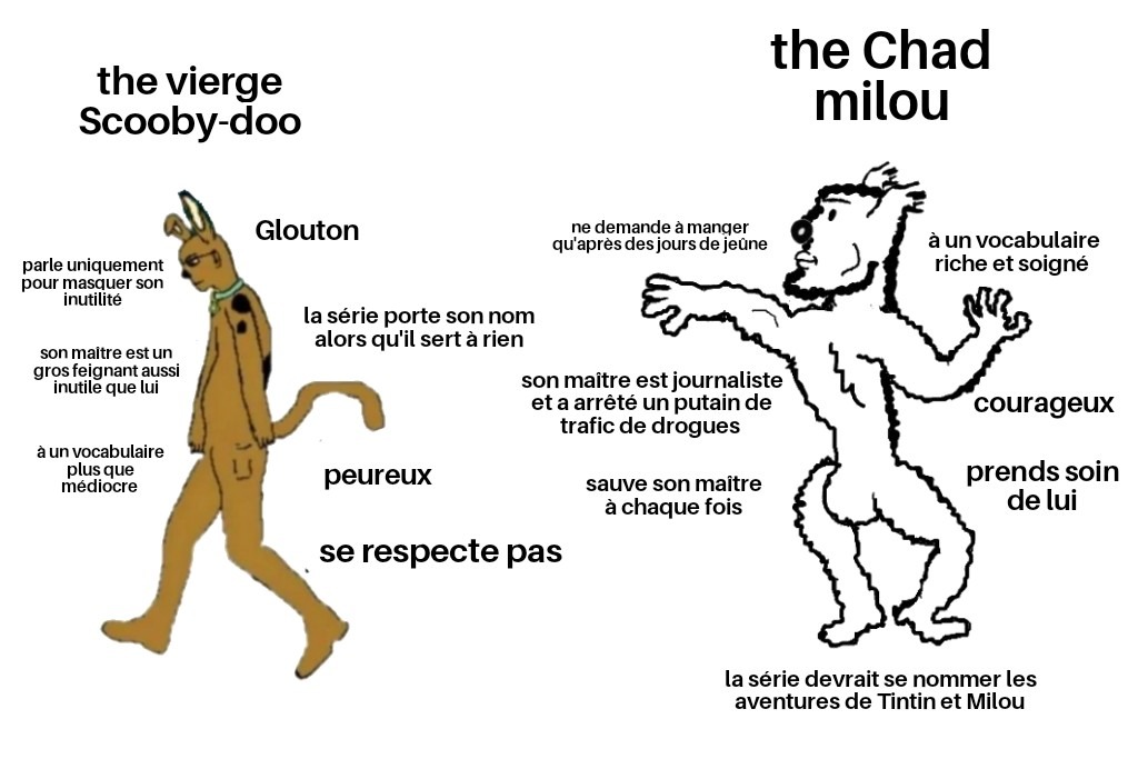 Je vais me faire des ennemis - meme