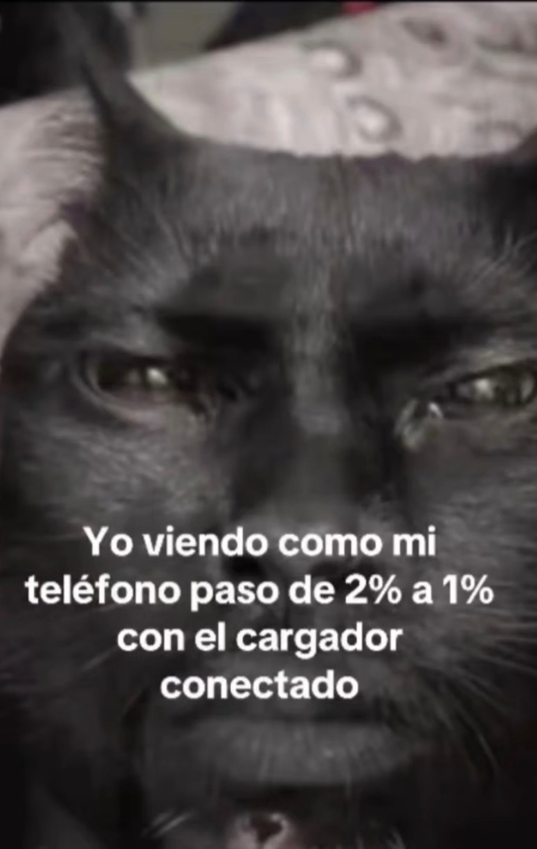 Yo viendo como el 2% de batería se convierte en 1% con el cargador puesto - meme