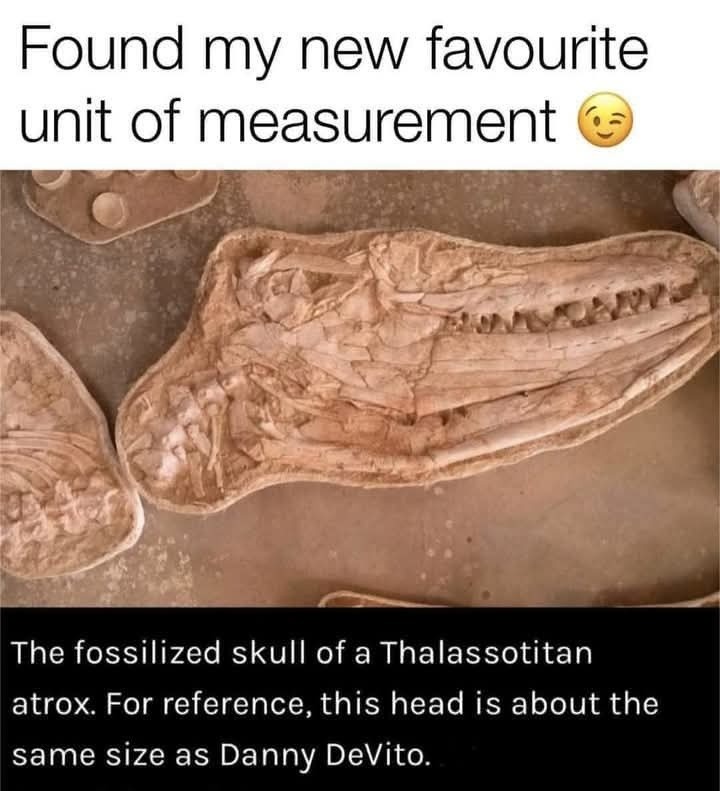 New favorite unit of size: 1 Danny DeVito skull - meme