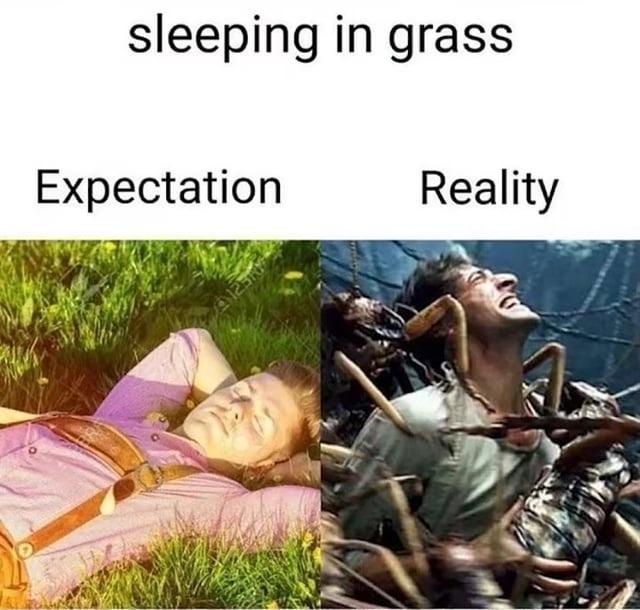 itchy dreams - meme