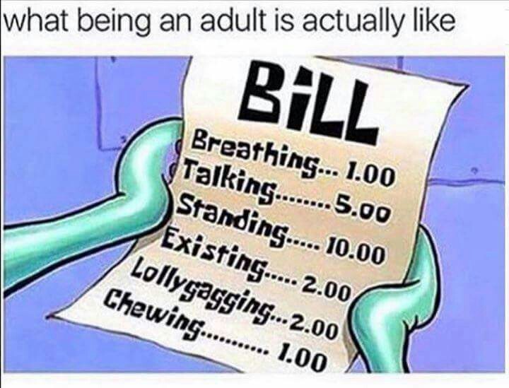Adult life - meme