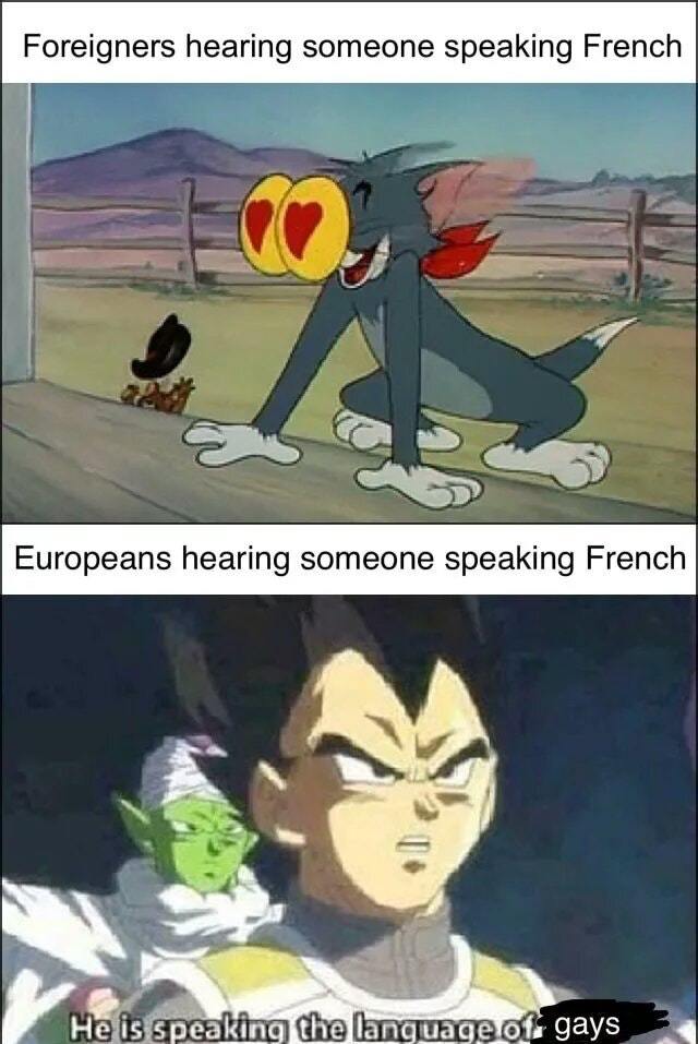 French is a beautiful and also gay language - meme