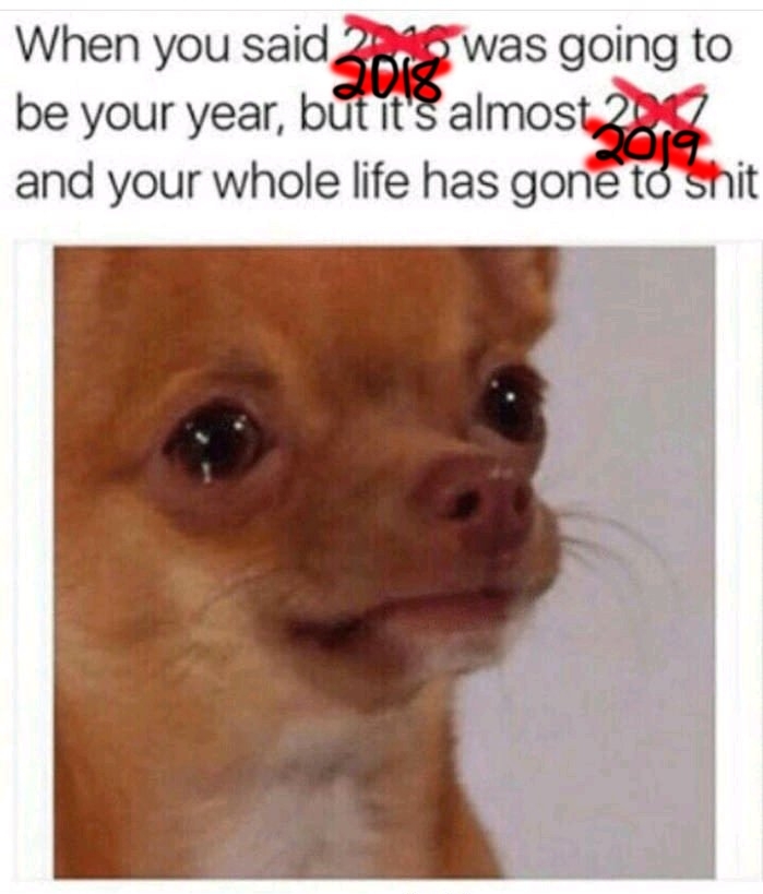 Another new year, still same shit... - meme