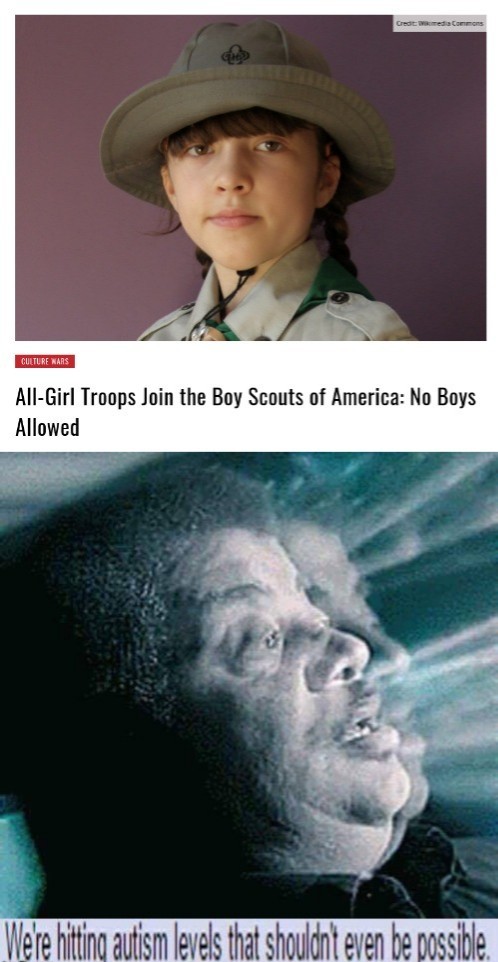 The world gets stupider every day (Just go to Girl Scouts...) - meme