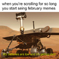 When you're scrolling for so long you start seing February memes